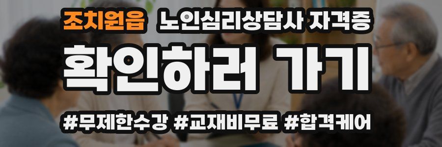 조치원읍 노인 심리 상담사 자격증