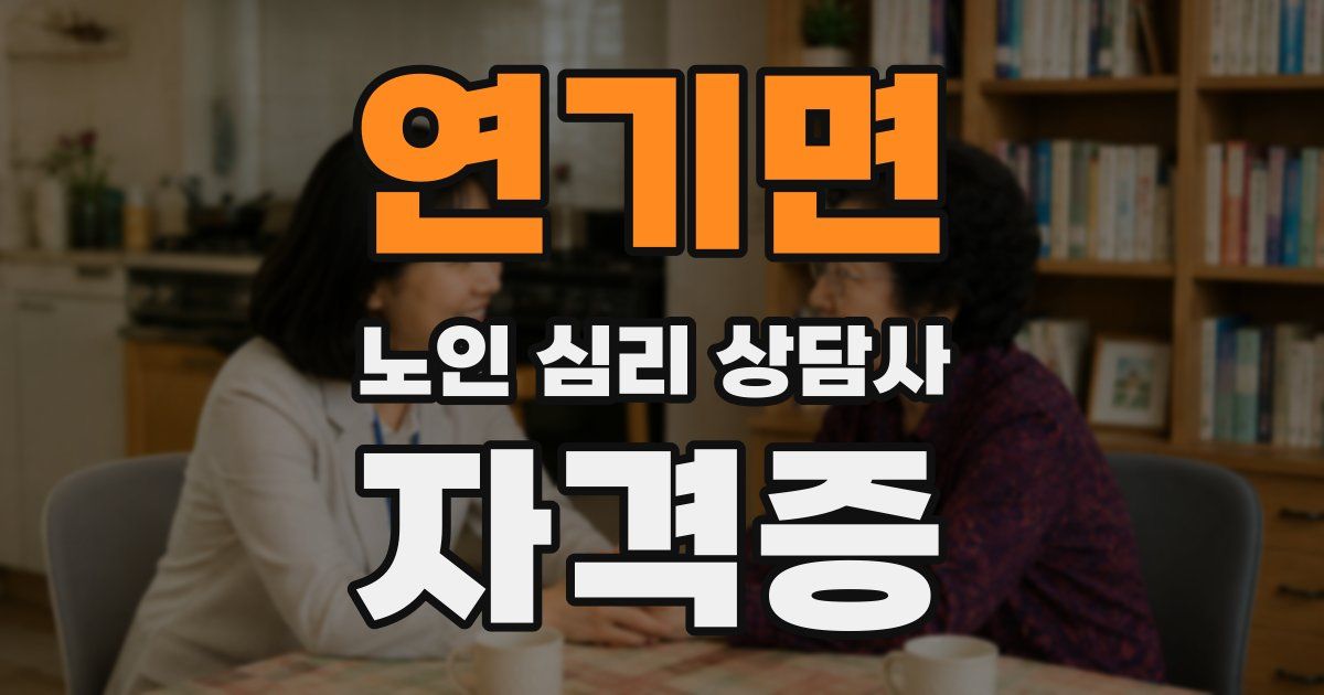연기면 노인 심리 상담사 자격증