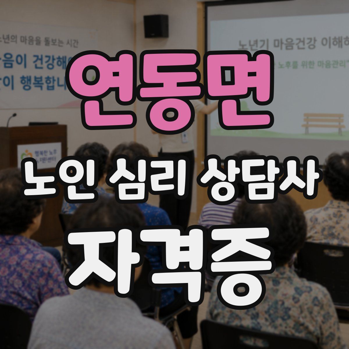 연동면 노인 심리 상담사 자격증