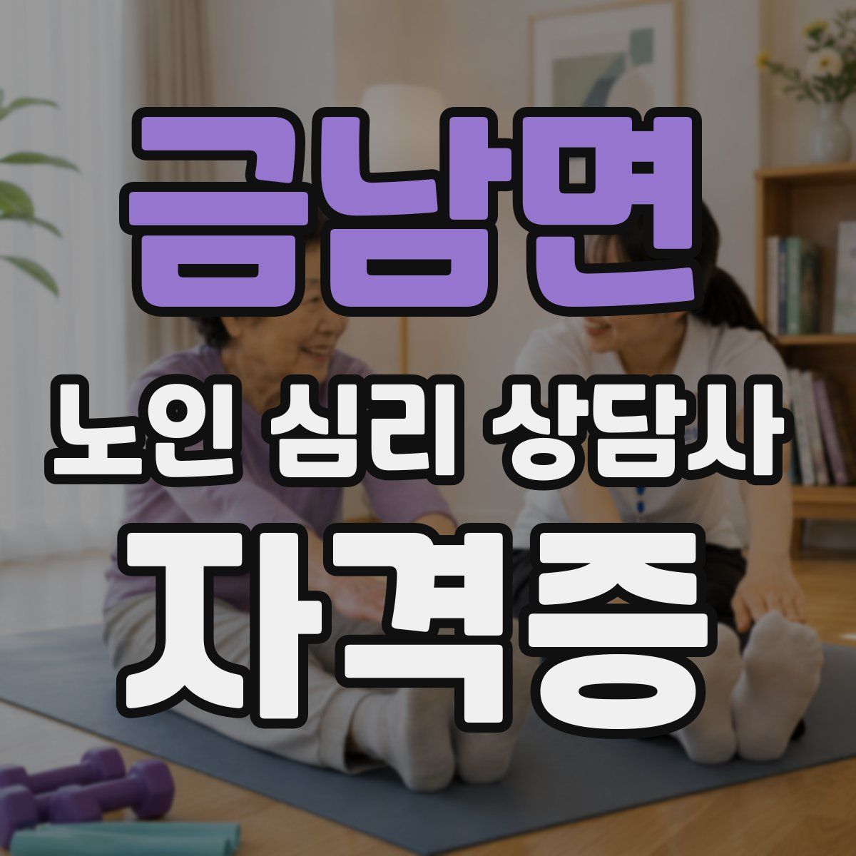 금남면 노인 심리 상담사 자격증