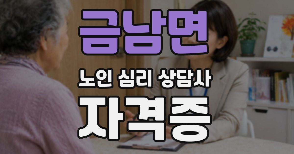 금남면 노인 심리 상담사 자격증