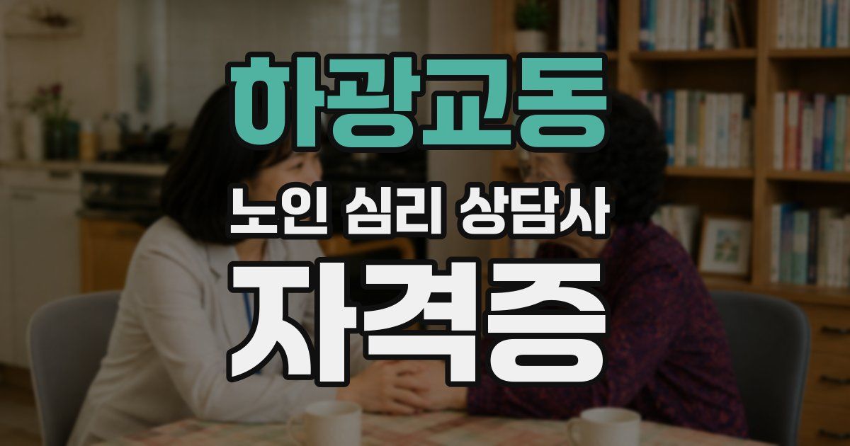 하광교동 노인 심리 상담사 자격증