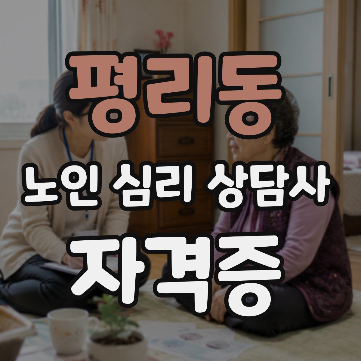평리동 노인 심리 상담사 자격증
