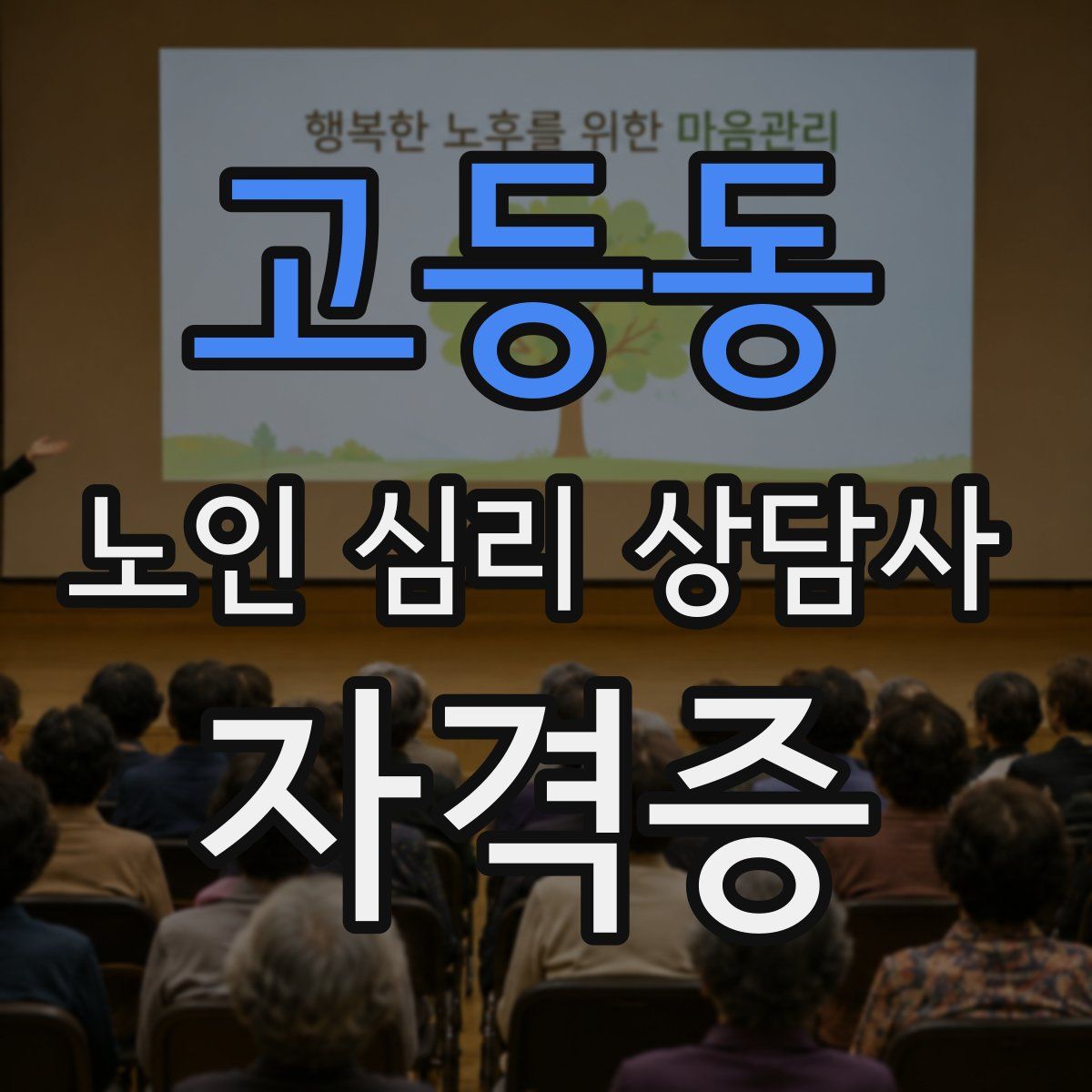 고등동 노인 심리 상담사 자격증