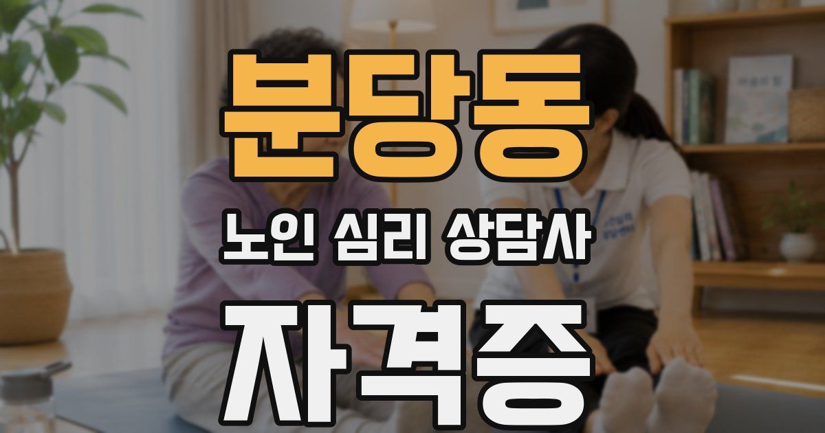 분당동 노인 심리 상담사 자격증