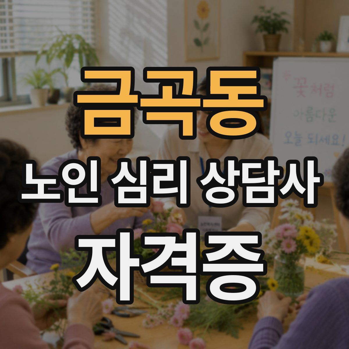 금곡동 노인 심리 상담사 자격증
