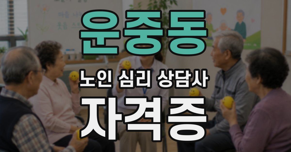 운중동 노인 심리 상담사 자격증