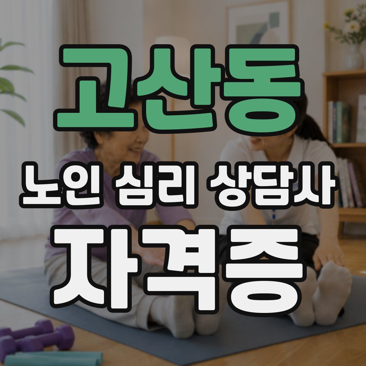고산동 노인 심리 상담사 자격증