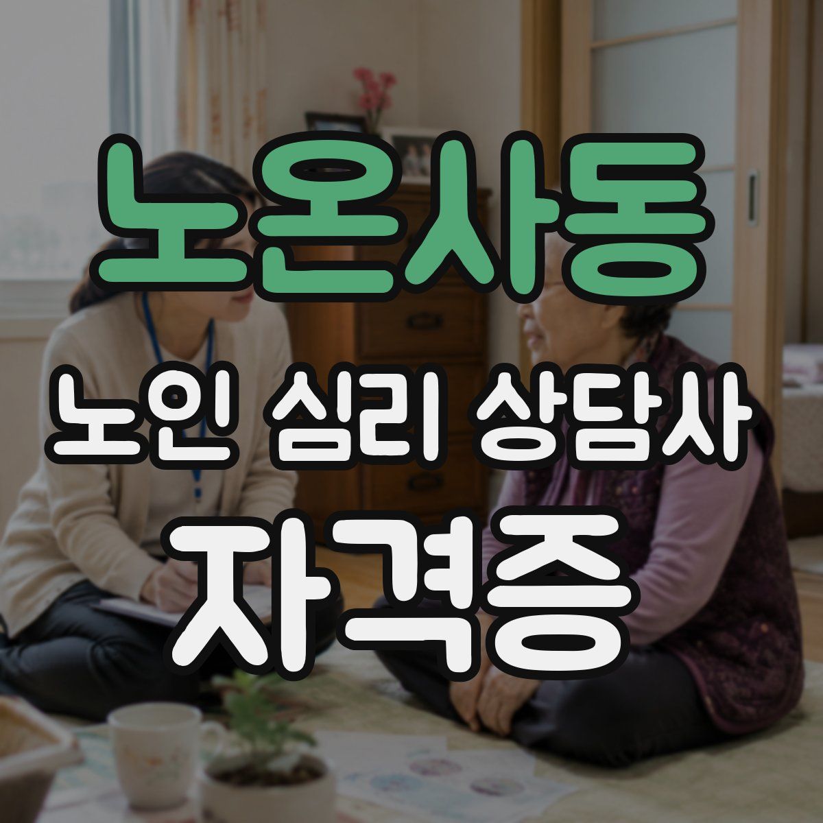 노온사동 노인 심리 상담사 자격증