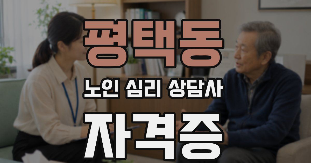 평택동 노인 심리 상담사 자격증