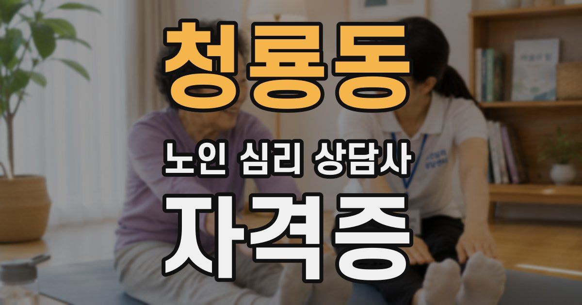 청룡동 노인 심리 상담사 자격증