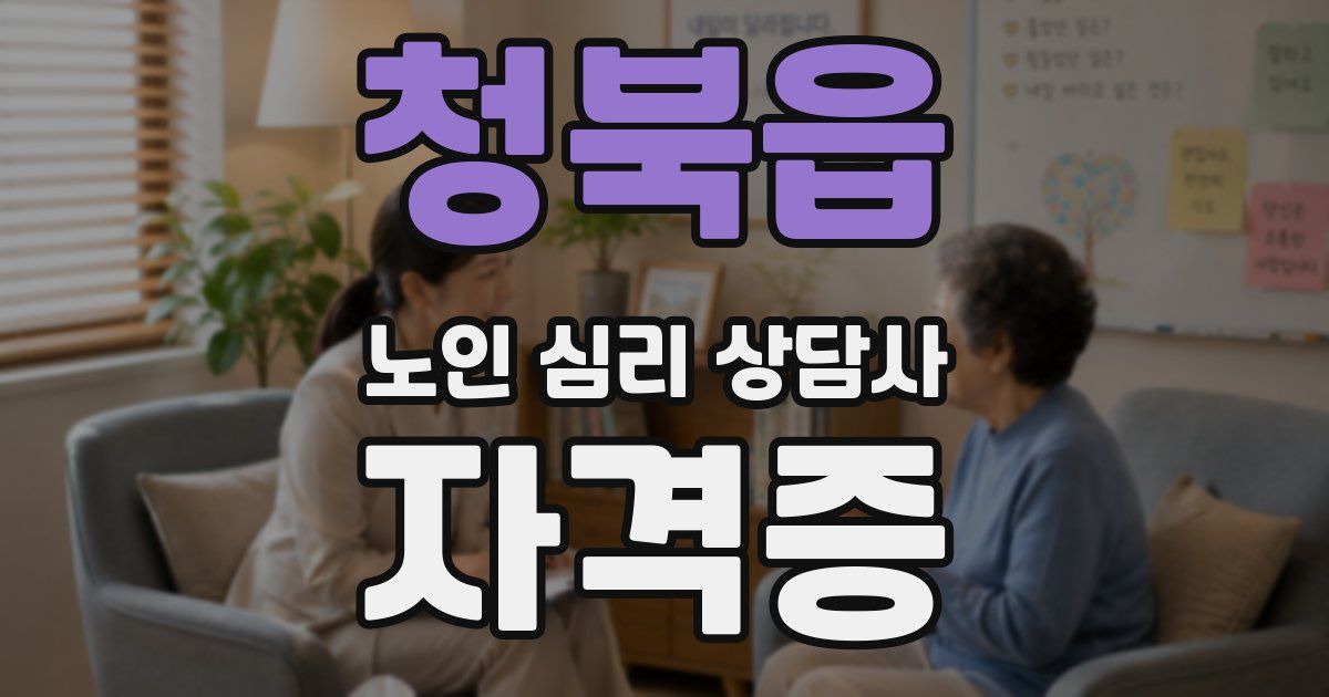 청북읍 노인 심리 상담사 자격증