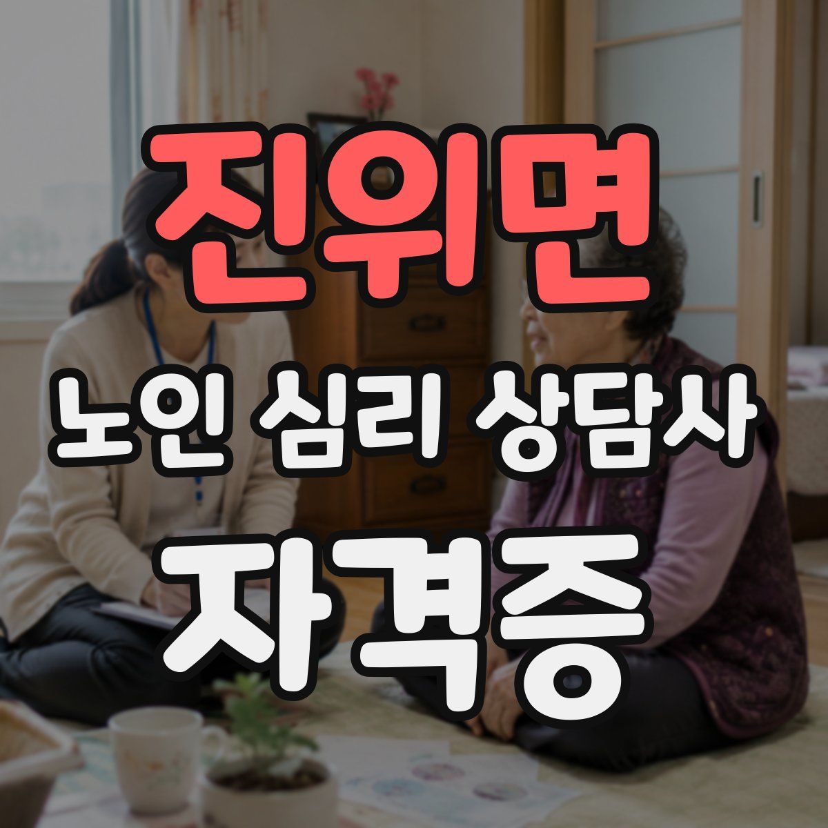 진위면 노인 심리 상담사 자격증