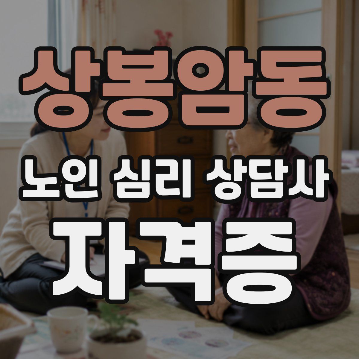 상봉암동 노인 심리 상담사 자격증