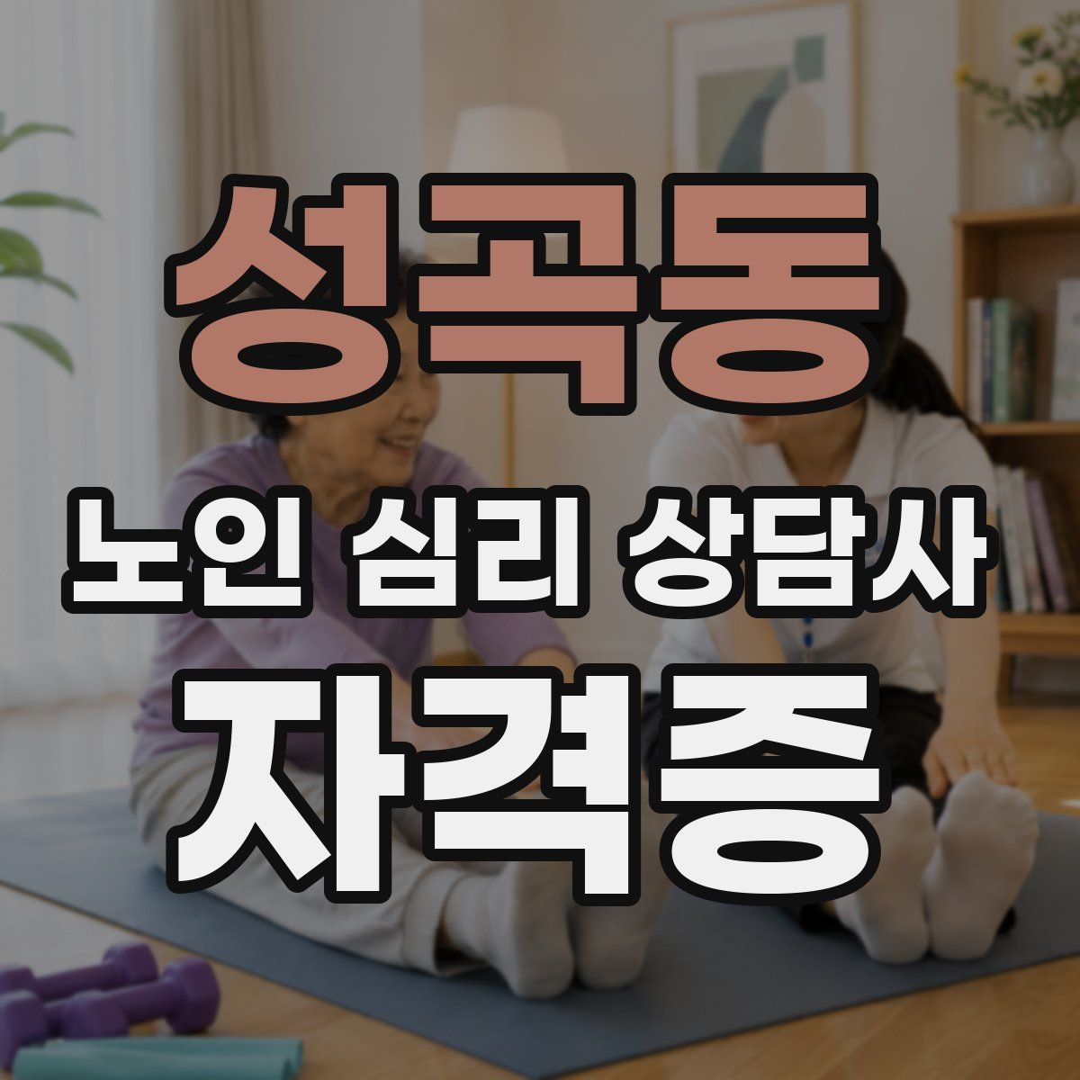 성곡동 노인 심리 상담사 자격증
