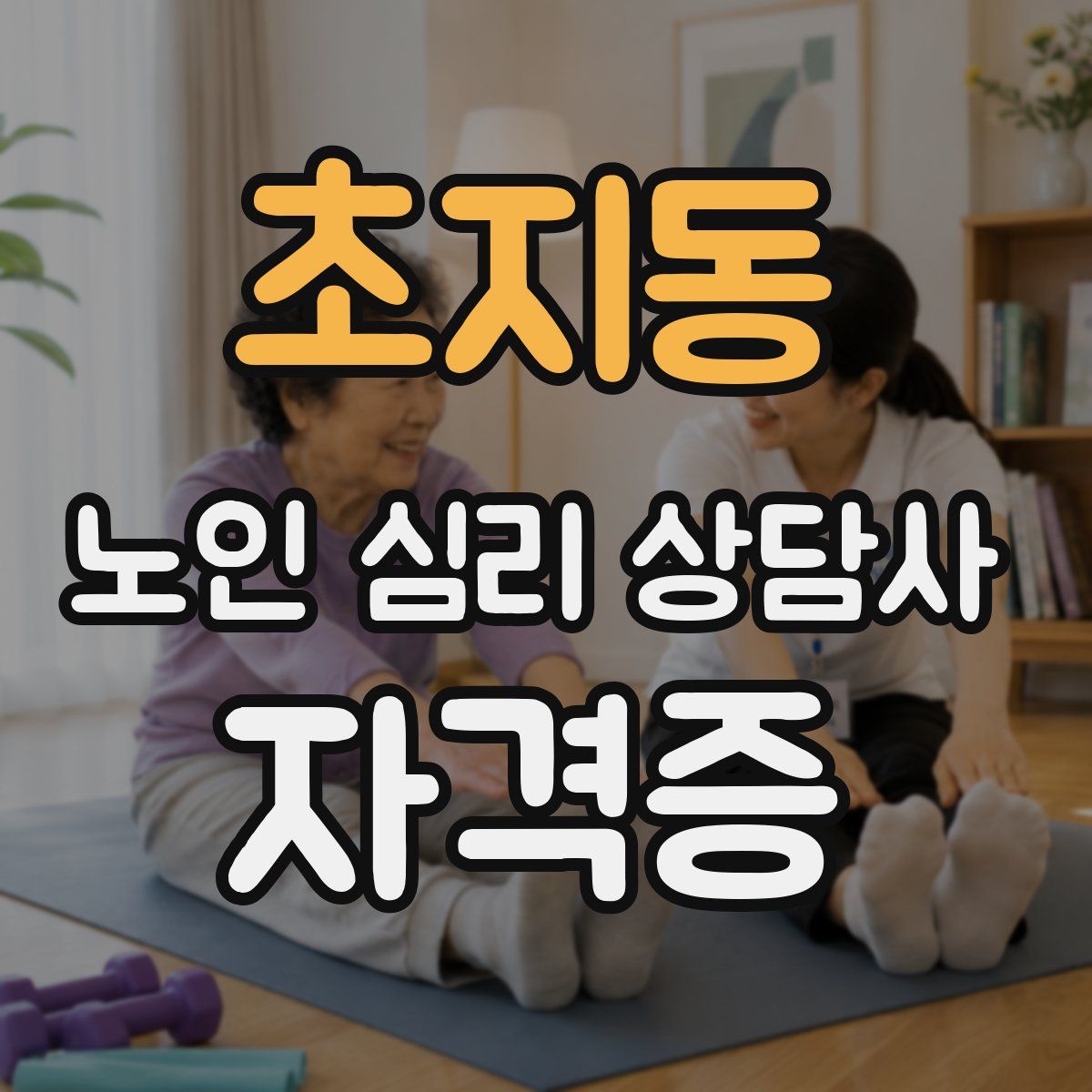 초지동 노인 심리 상담사 자격증