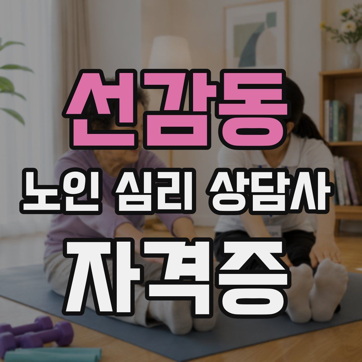 선감동 노인 심리 상담사 자격증