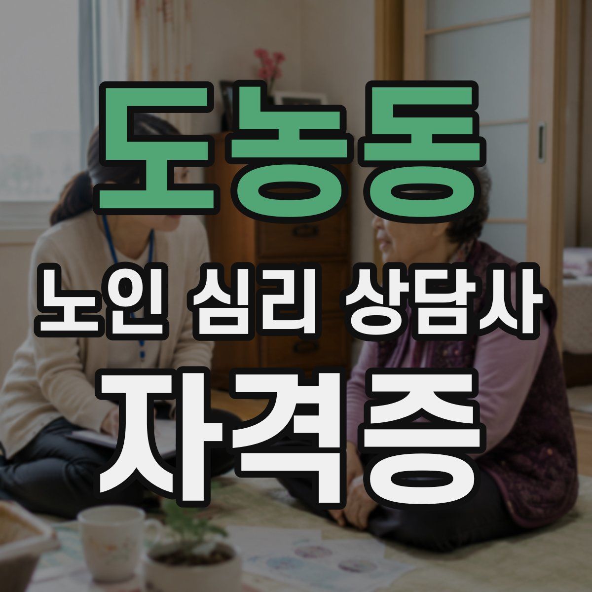 도농동 노인 심리 상담사 자격증