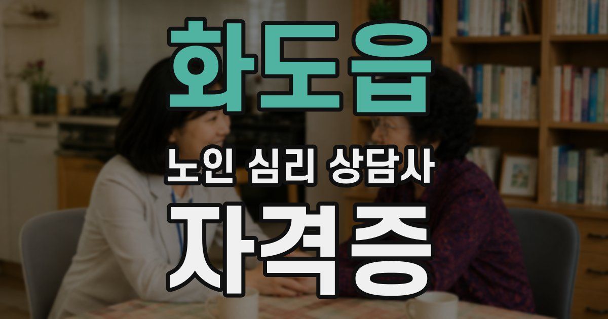 화도읍 노인 심리 상담사 자격증