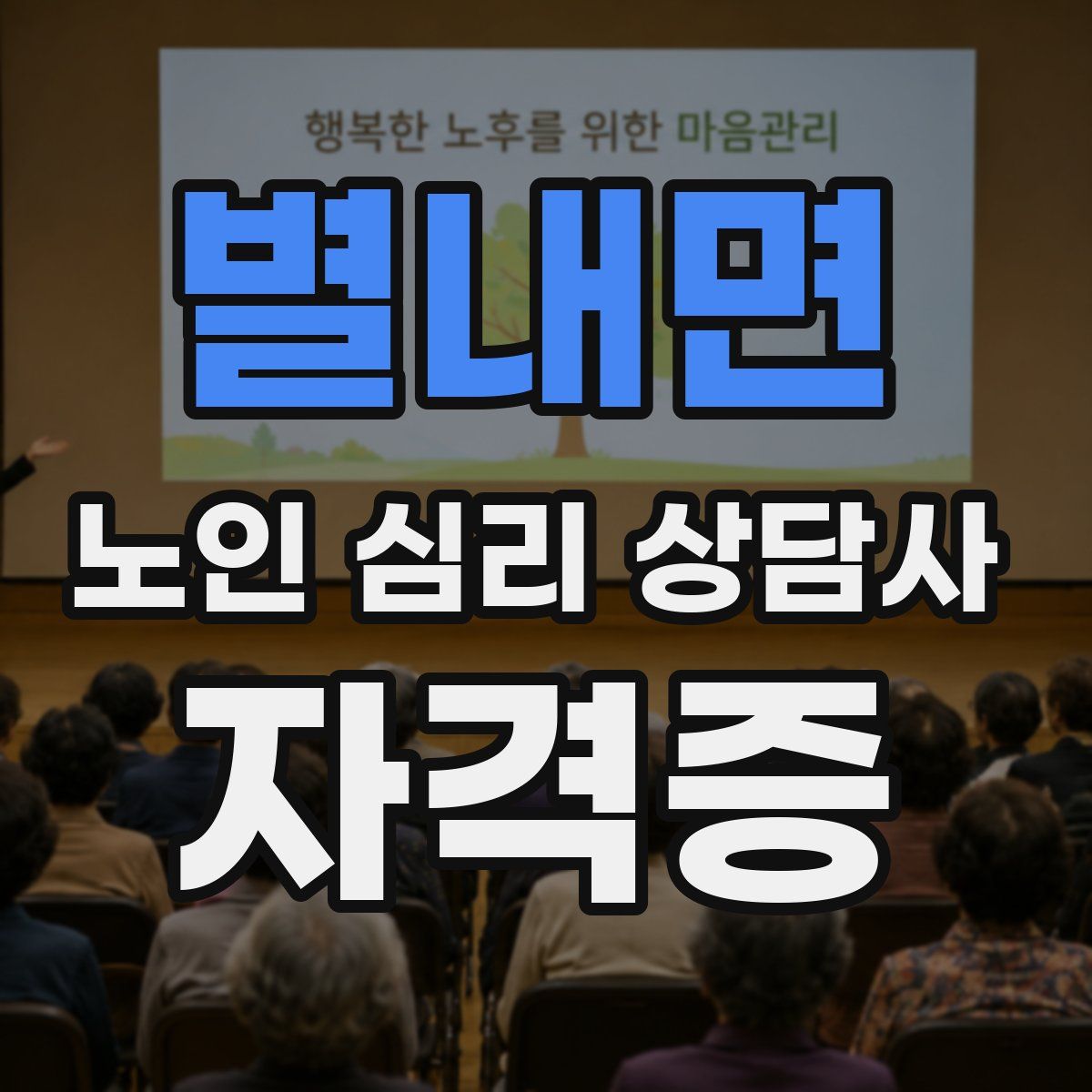 별내면 노인 심리 상담사 자격증