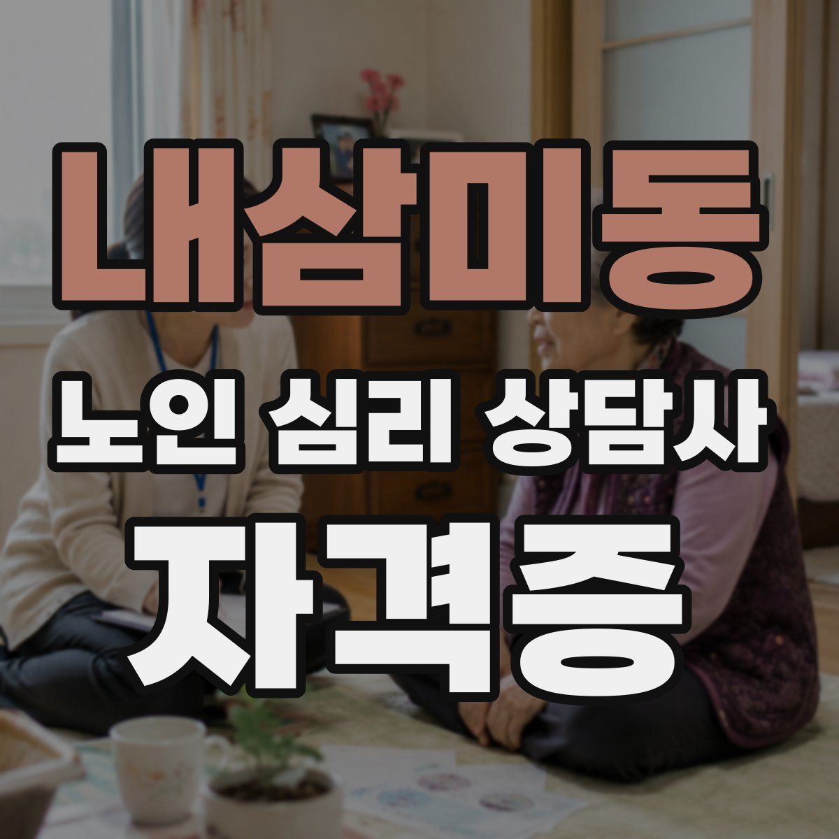 내삼미동 노인 심리 상담사 자격증