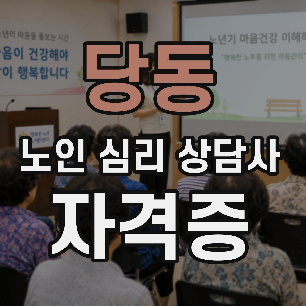 당동 노인 심리 상담사 자격증