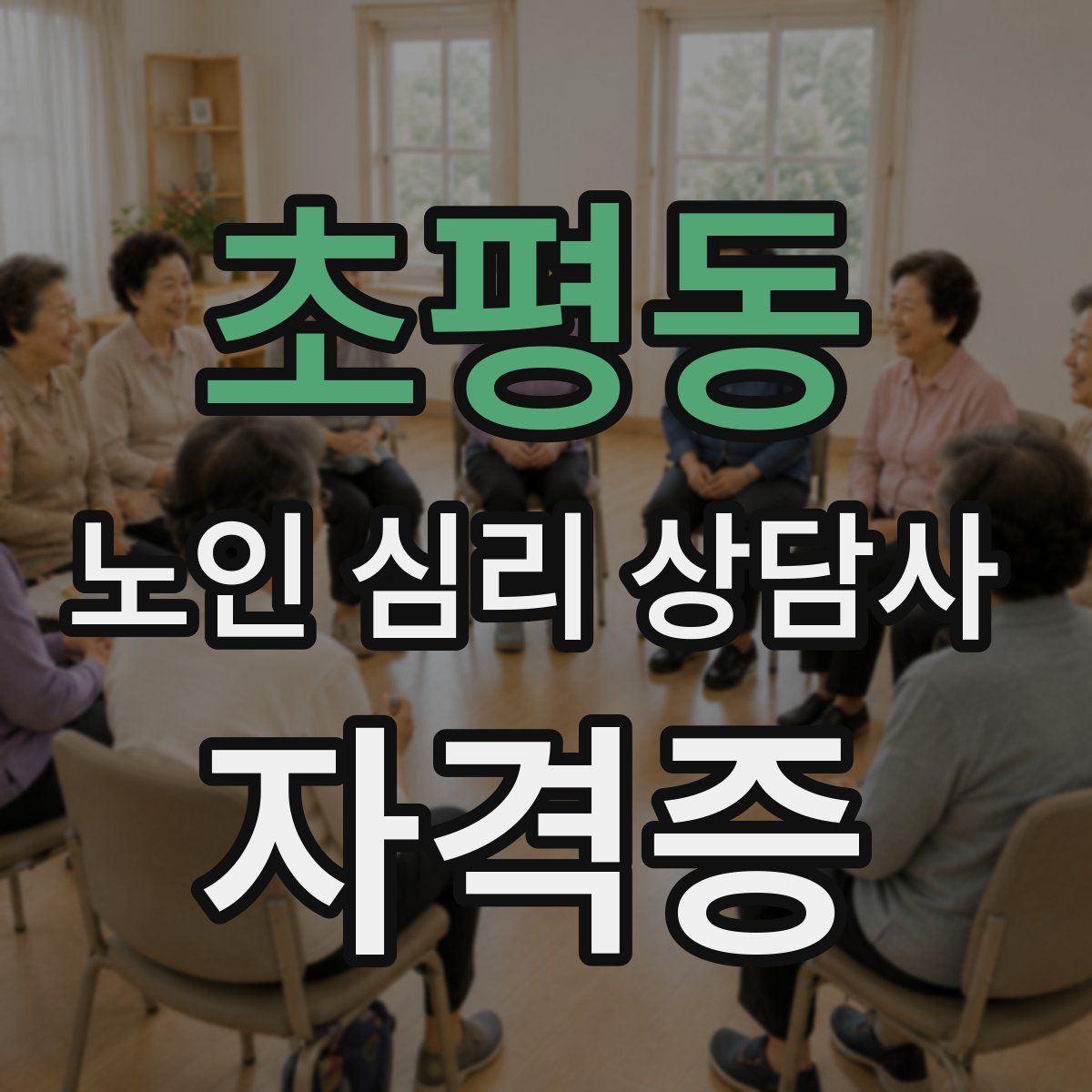 초평동 노인 심리 상담사 자격증