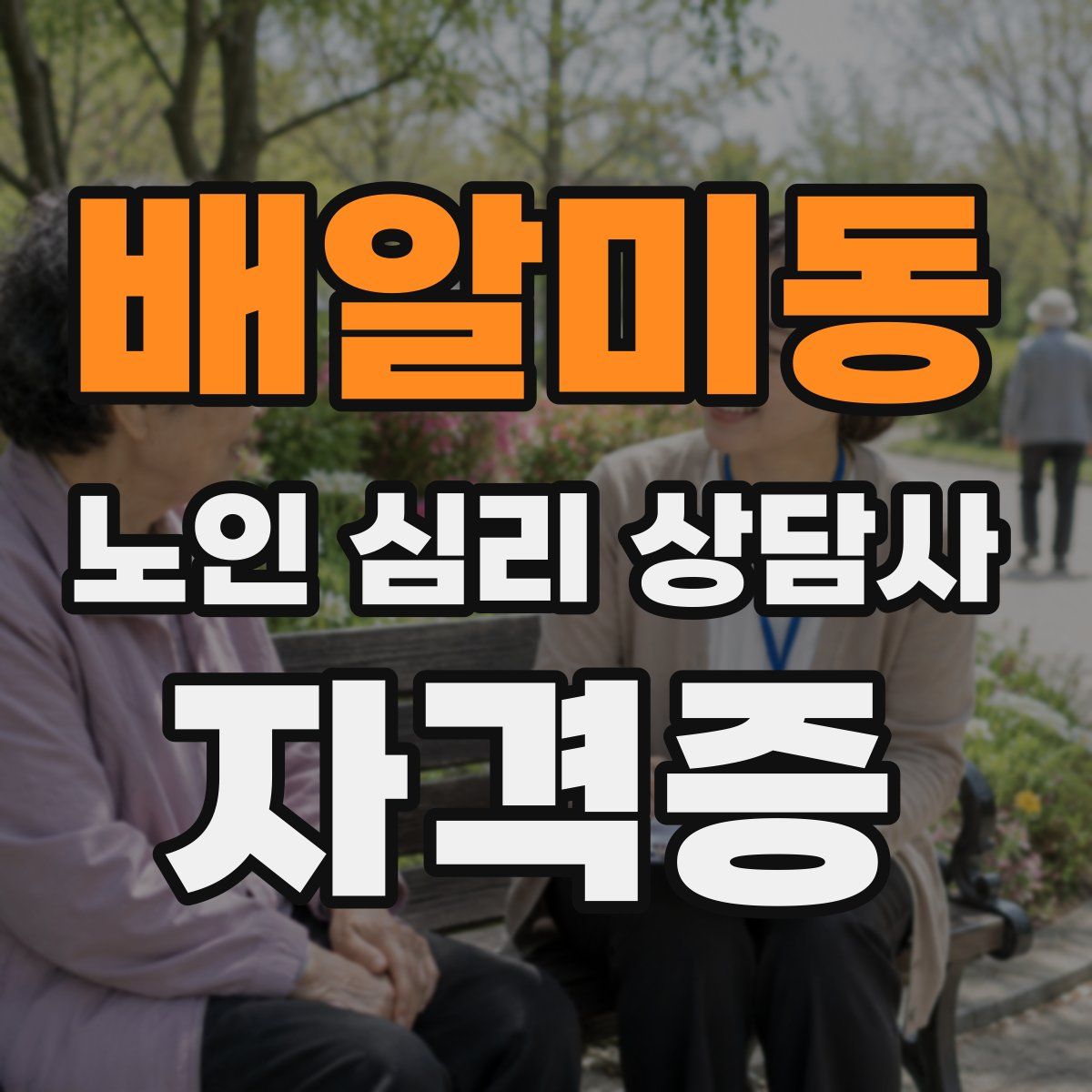 배알미동 노인 심리 상담사 자격증