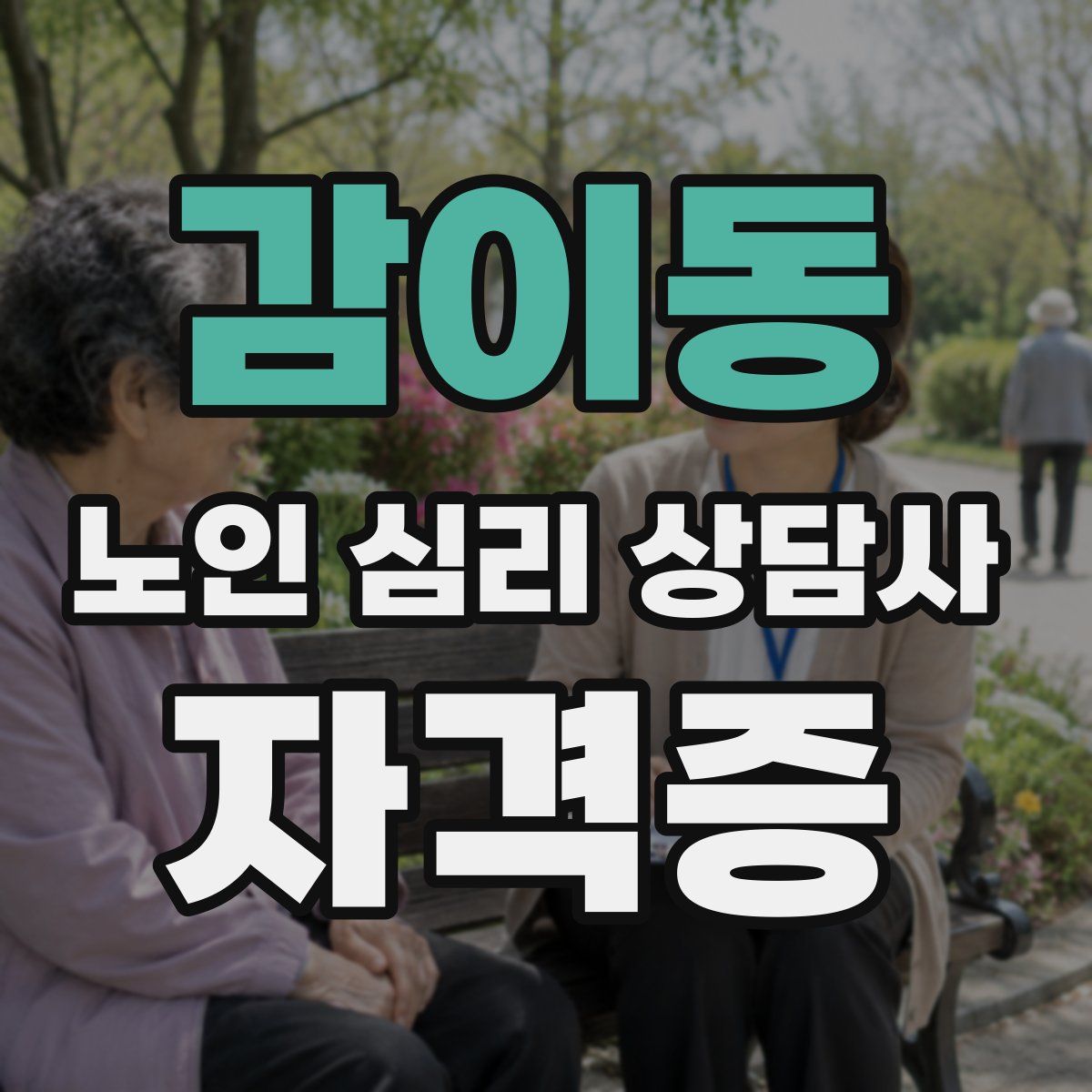 감이동 노인 심리 상담사 자격증