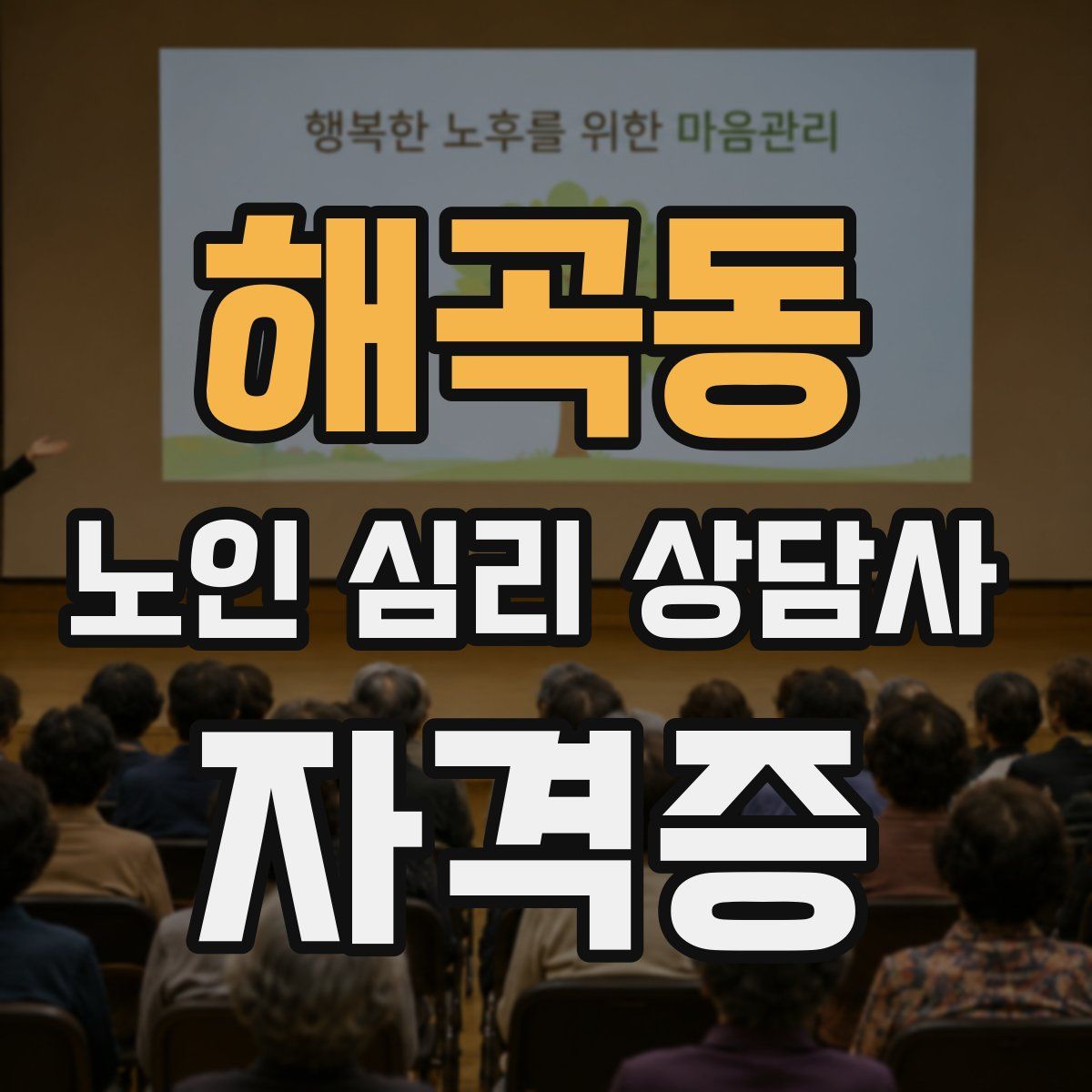 해곡동 노인 심리 상담사 자격증