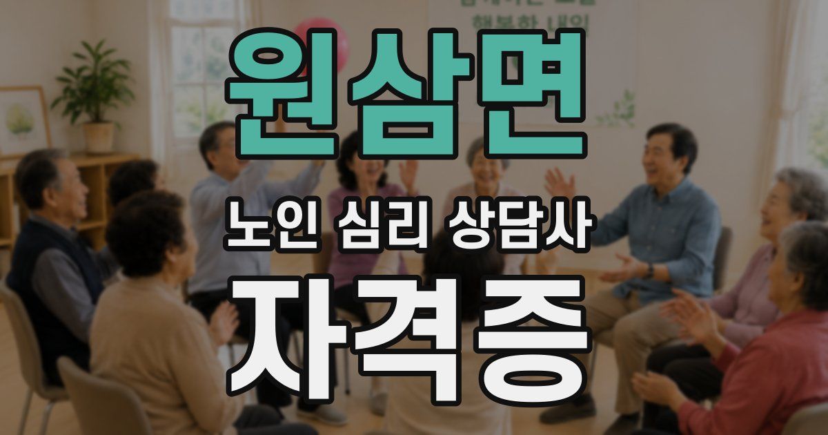 원삼면 노인 심리 상담사 자격증
