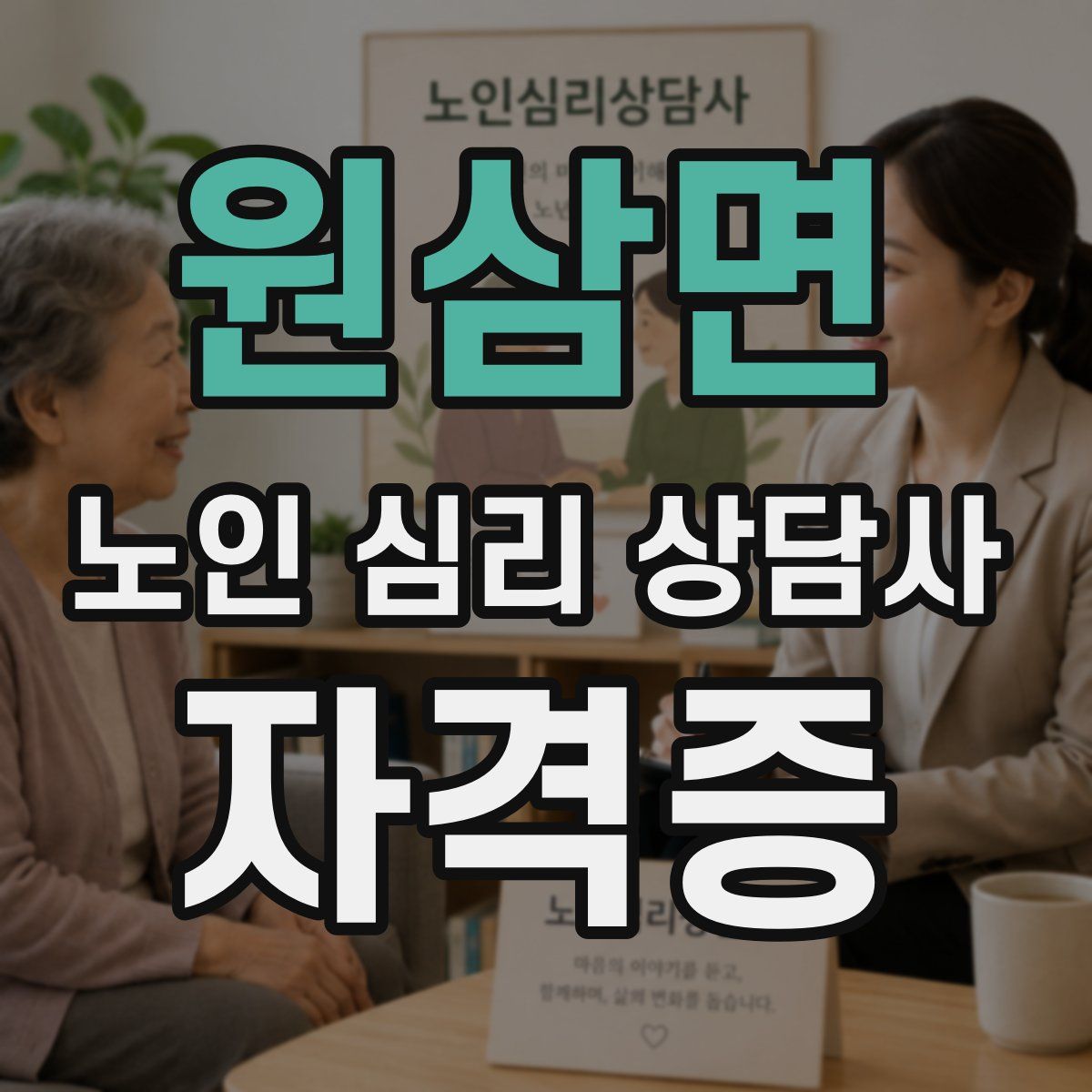원삼면 노인 심리 상담사 자격증