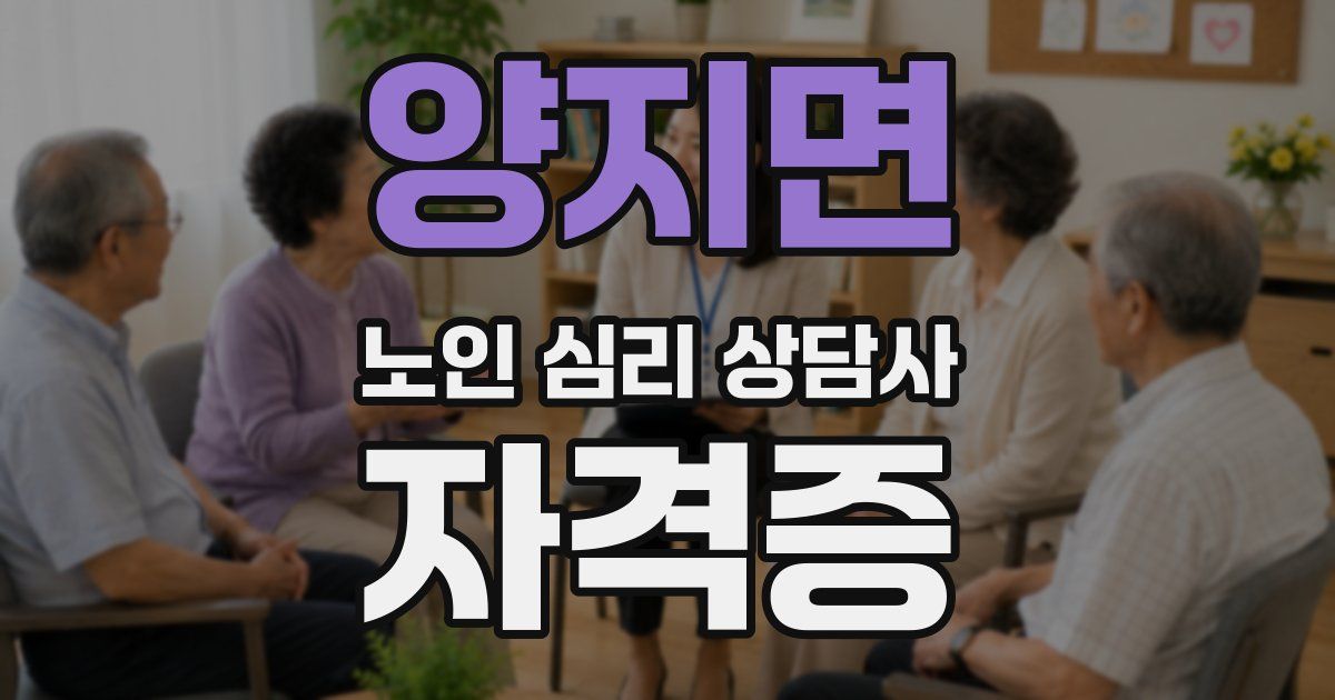양지면 노인 심리 상담사 자격증