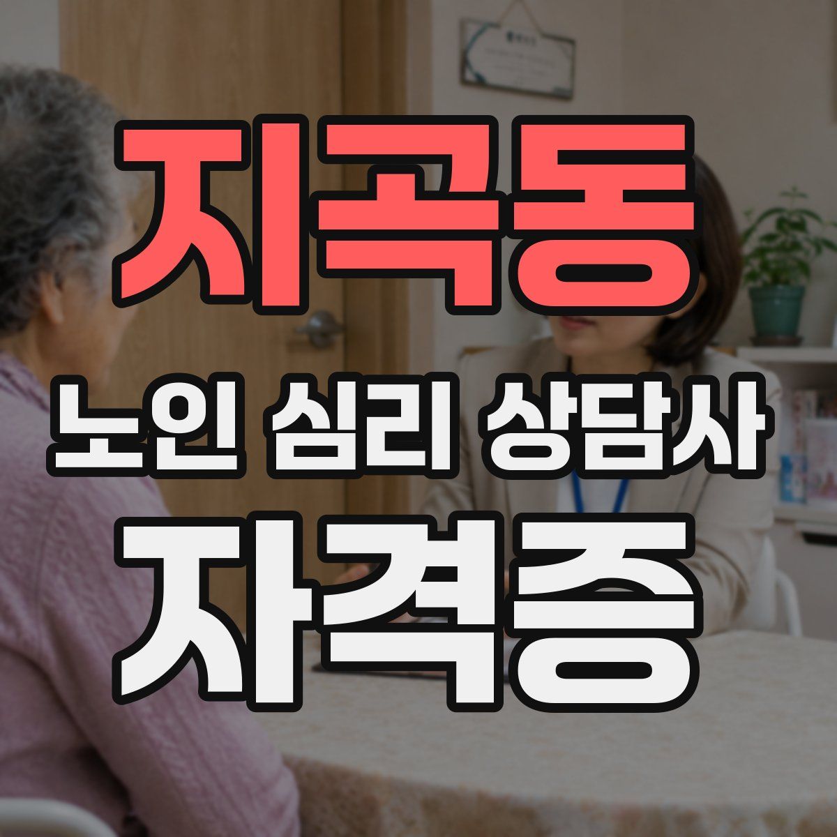 지곡동 노인 심리 상담사 자격증