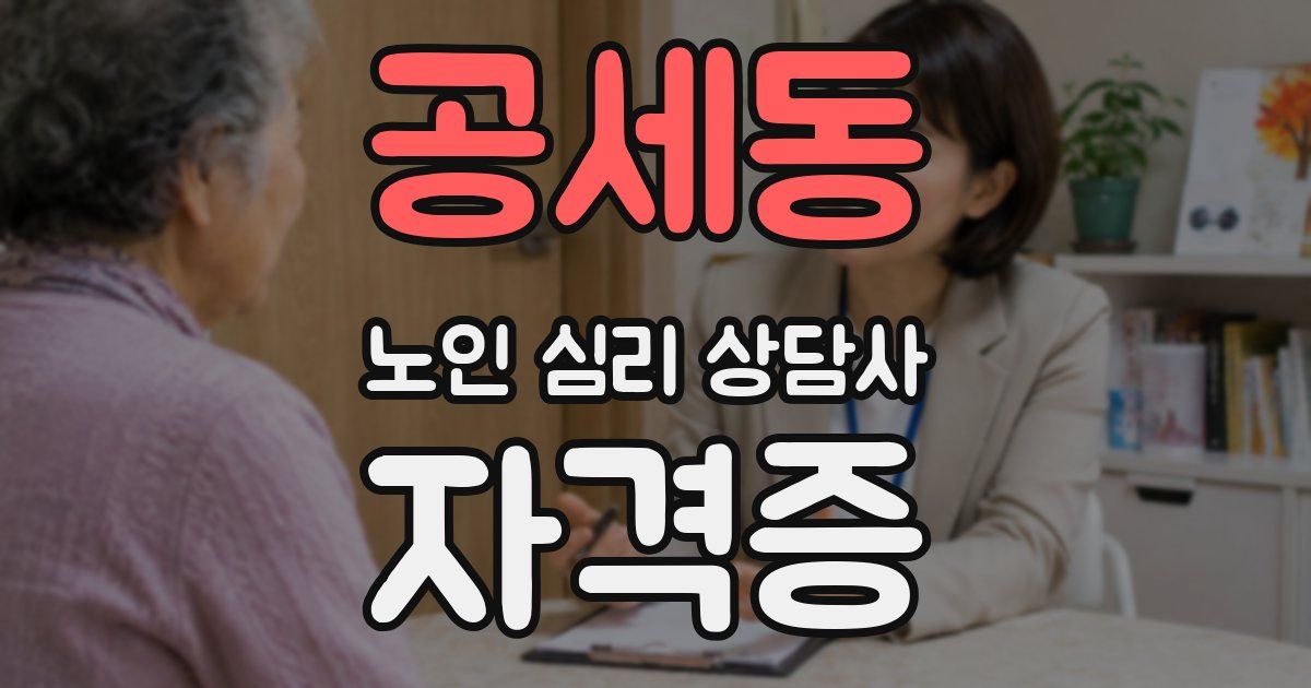 공세동 노인 심리 상담사 자격증