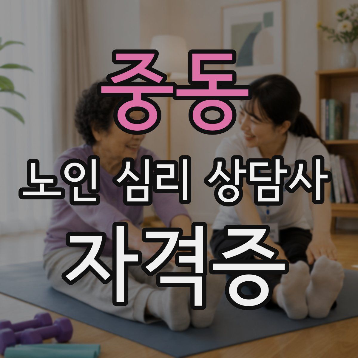 중동 노인 심리 상담사 자격증