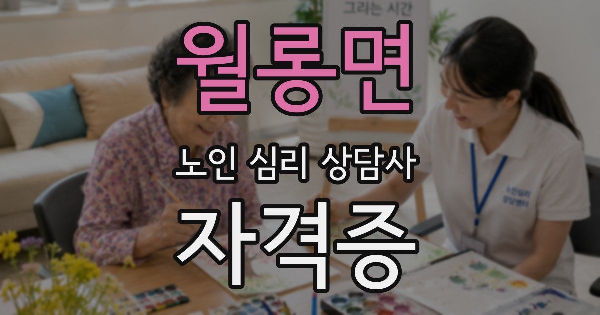 월롱면 노인 심리 상담사 자격증