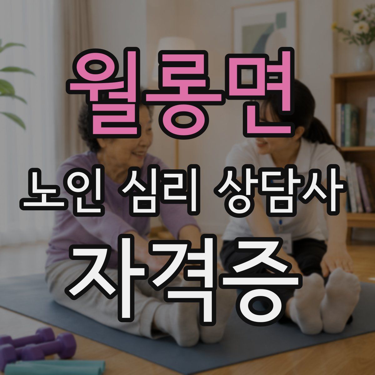 월롱면 노인 심리 상담사 자격증