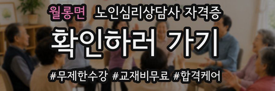 월롱면 노인 심리 상담사 자격증