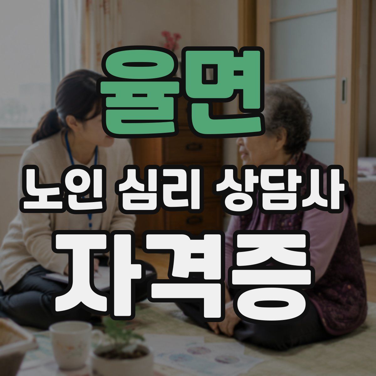 율면 노인 심리 상담사 자격증