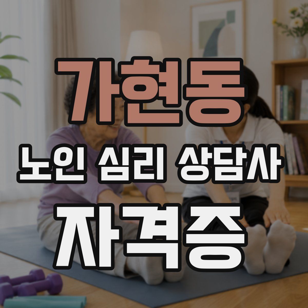 가현동 노인 심리 상담사 자격증