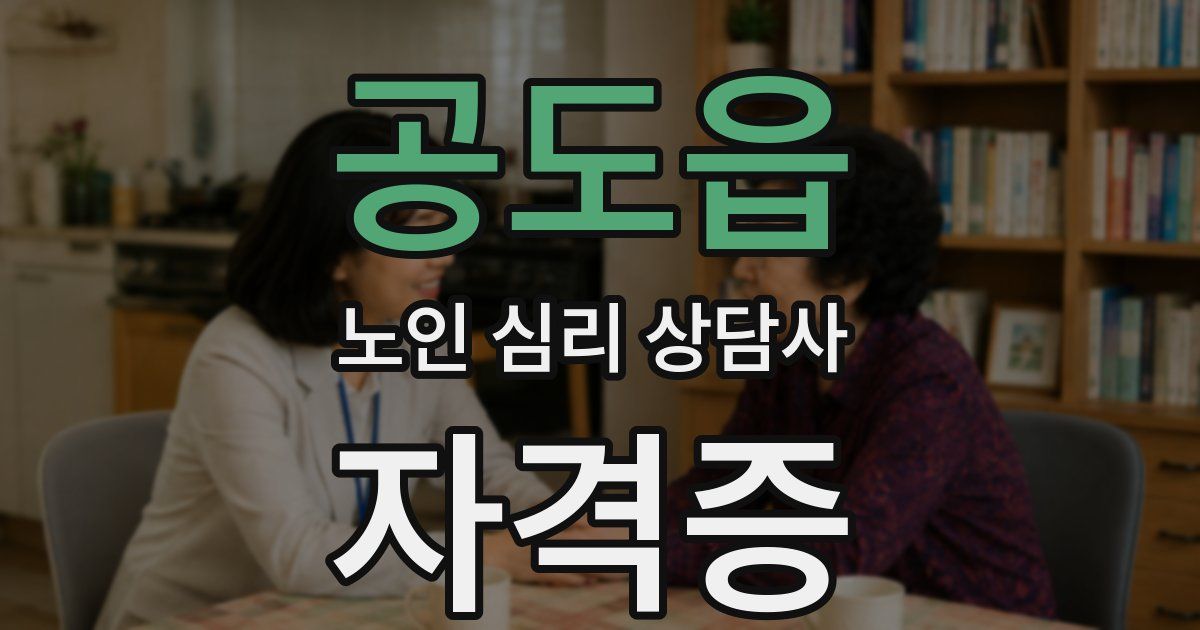 공도읍 노인 심리 상담사 자격증