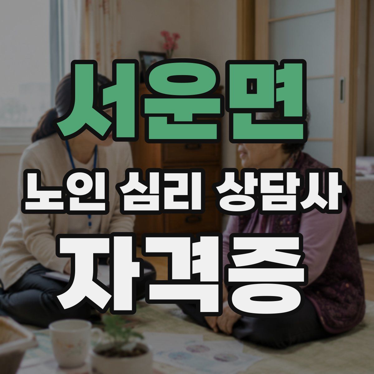 서운면 노인 심리 상담사 자격증