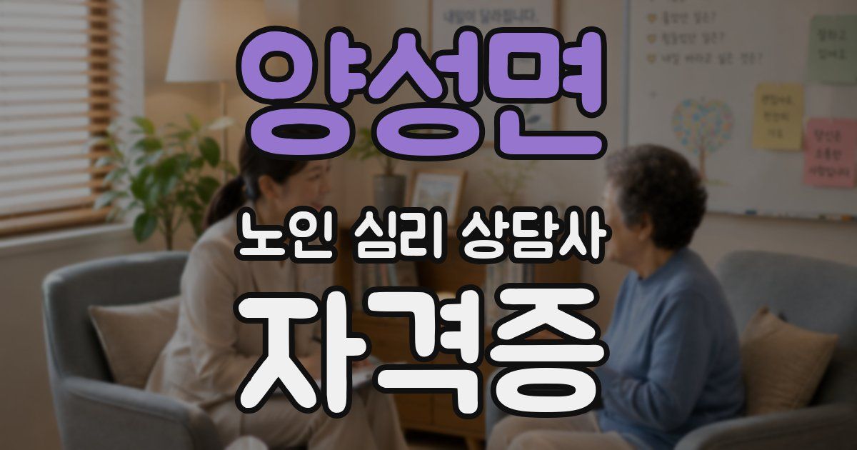 양성면 노인 심리 상담사 자격증