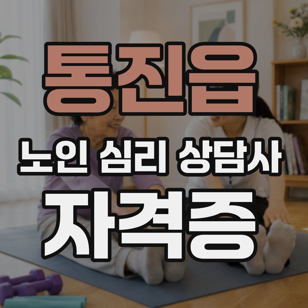 통진읍 노인 심리 상담사 자격증