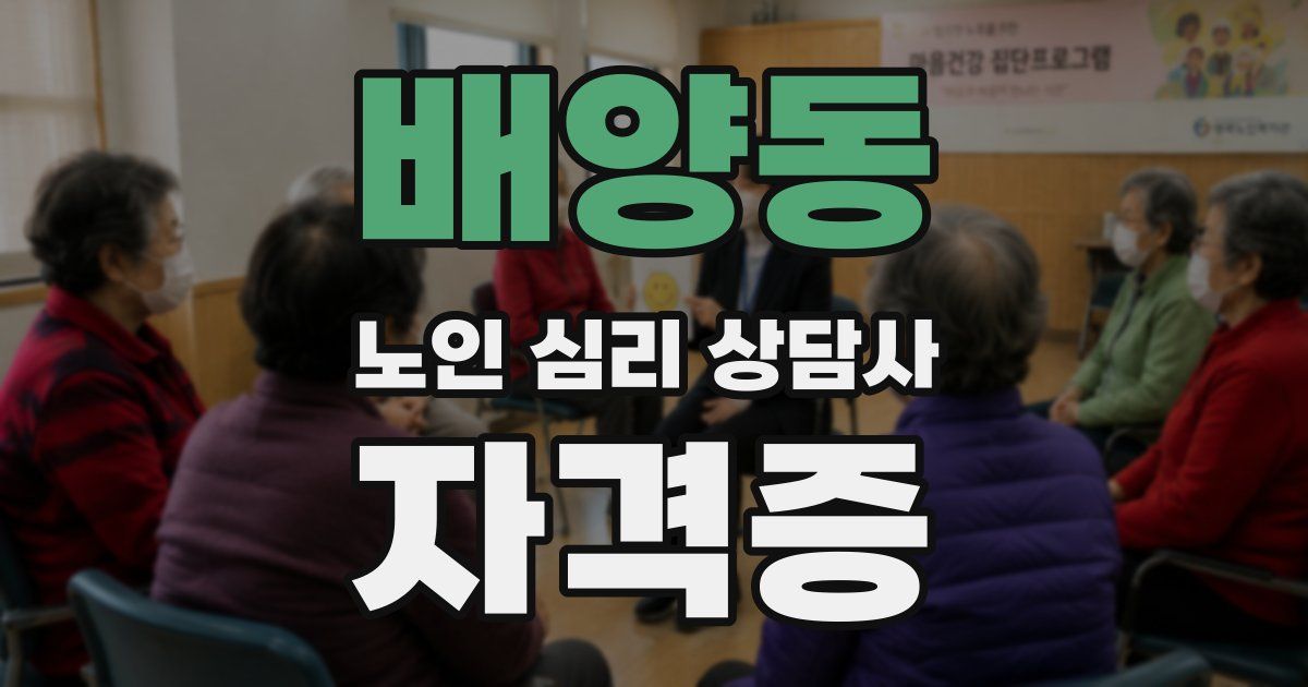배양동 노인 심리 상담사 자격증