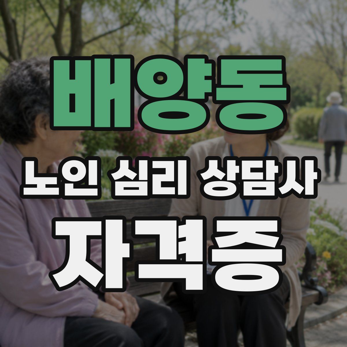 배양동 노인 심리 상담사 자격증
