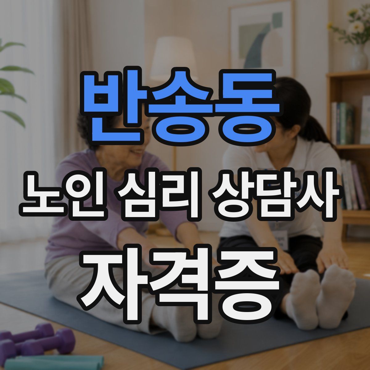 반송동 노인 심리 상담사 자격증
