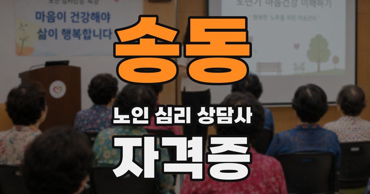 송동 노인 심리 상담사 자격증