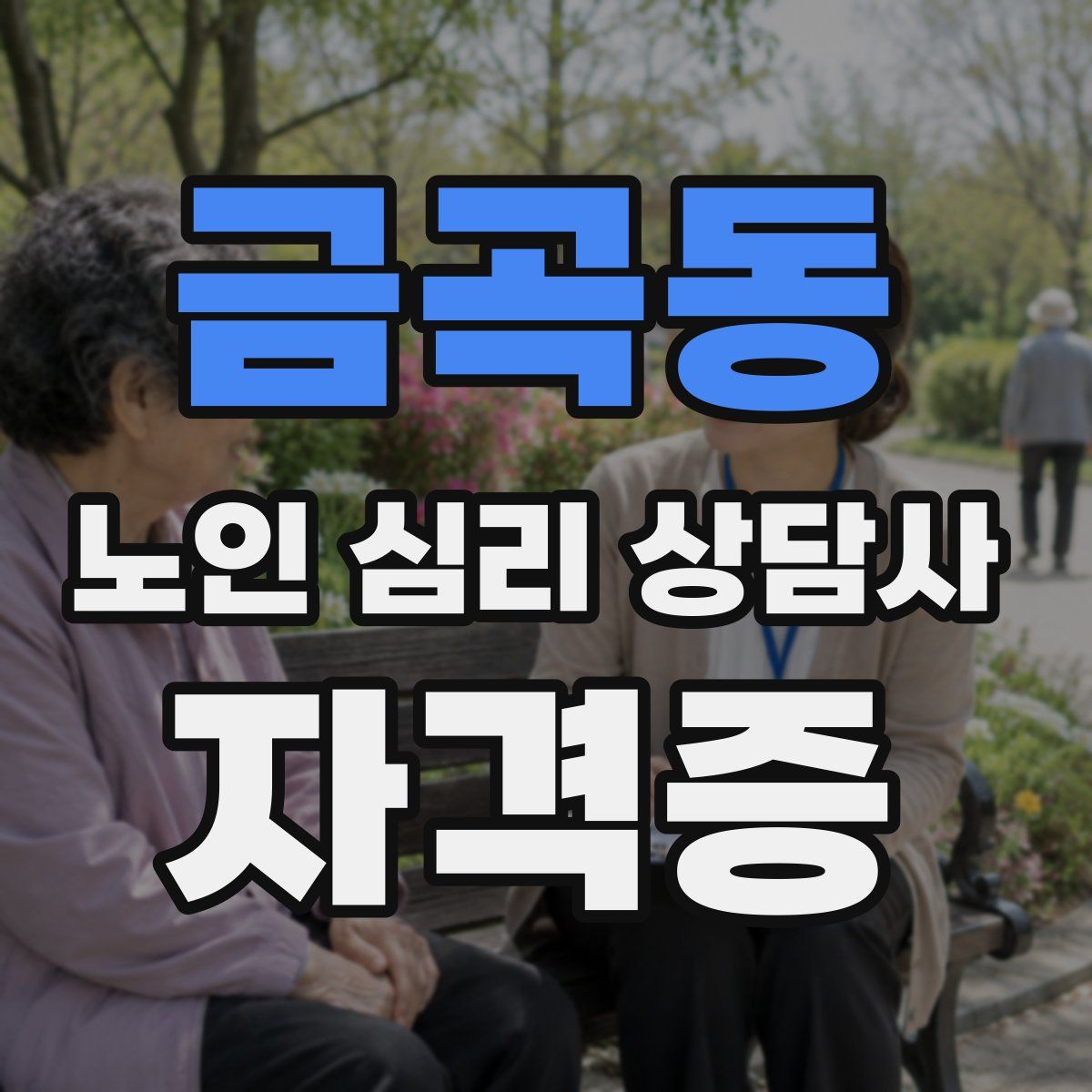 금곡동 노인 심리 상담사 자격증
